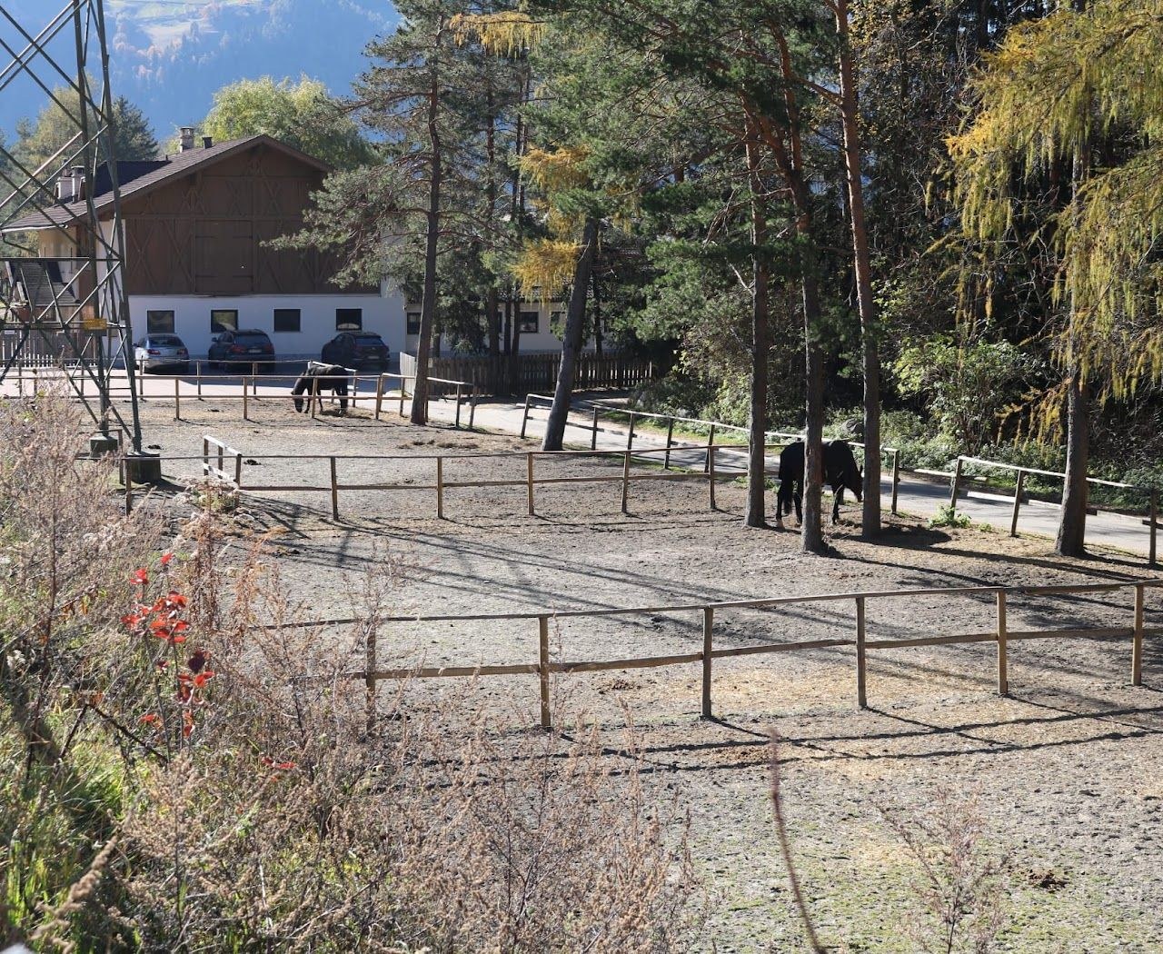 Paddocks bei der Reitanlage