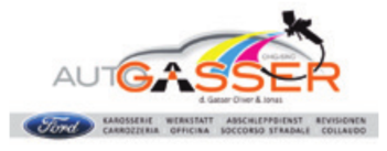 Auto Gasser