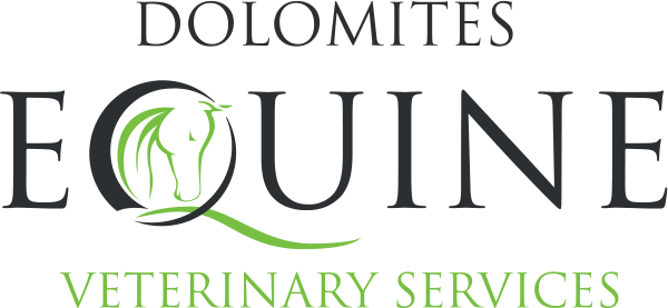 Dolomites Equine Veterinary Services